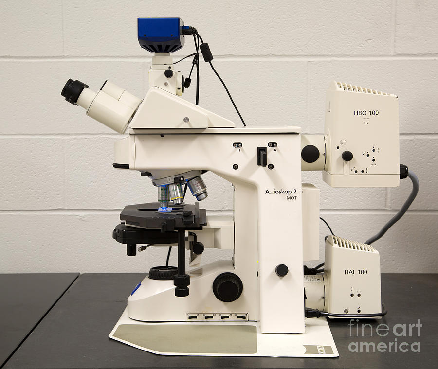 Laboratory Fluorescent Microscope #1 Photograph by Ted Kinsman