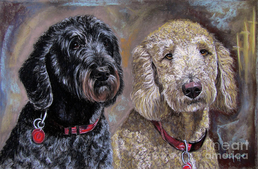 Labradoodles #1 Pastel by Cat Culpepper