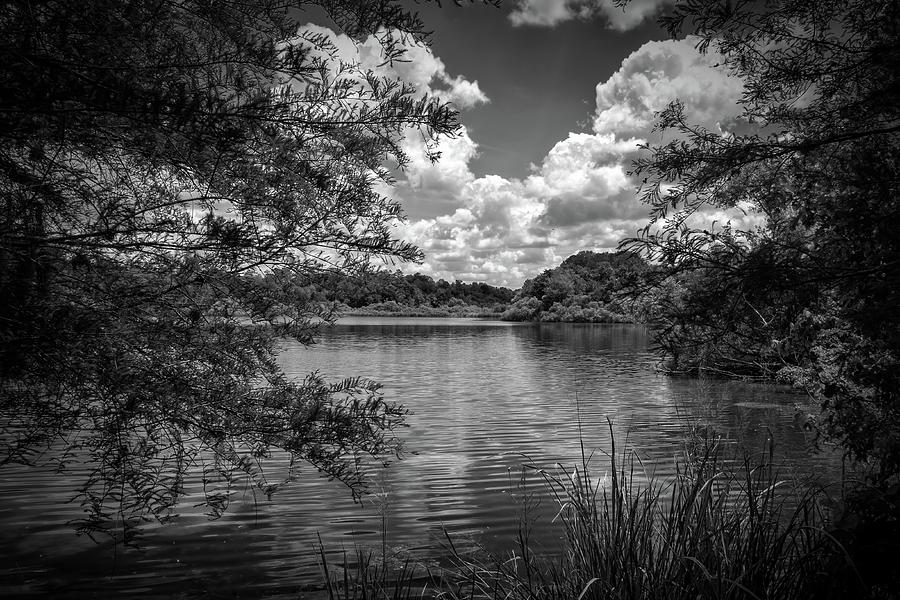 Lake Alice #3 Photograph by Louis Ferreira
