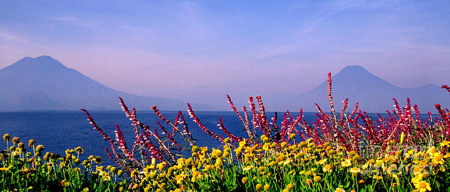 Lake Atitlan Flowers and Peaks #1 Photograph by Thomas R Fletcher