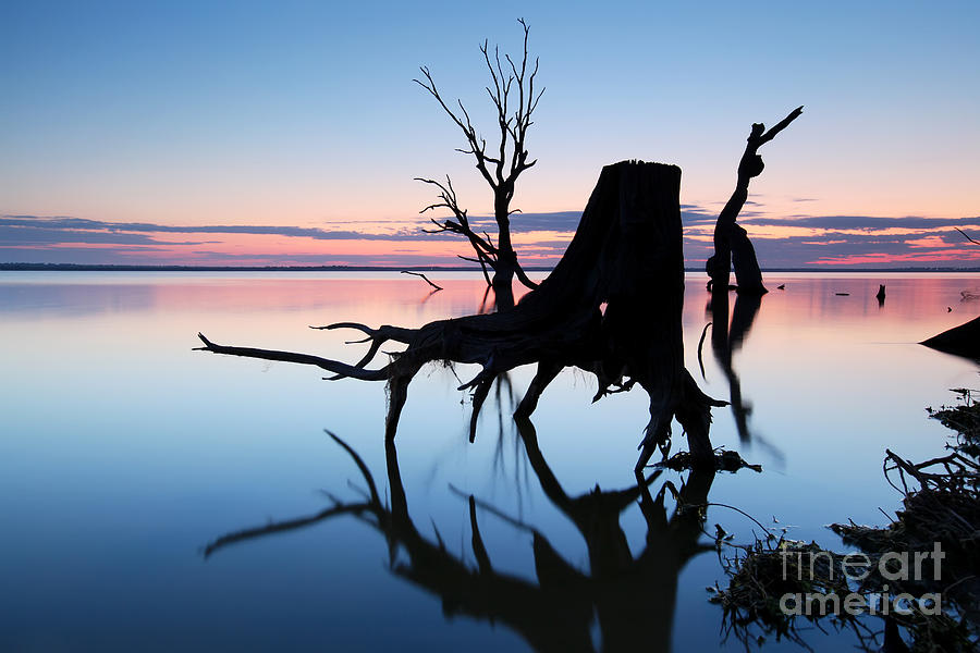 Lake Bonney Sunrise #2 Photograph by Bill  Robinson