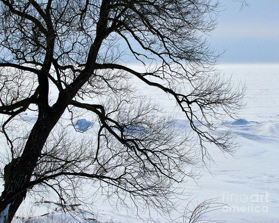 Lake Erie Winter #1 Photograph by John Freidenberg