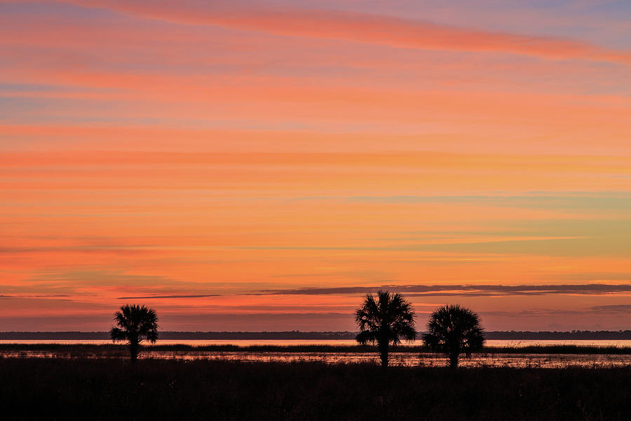 Lake Jesup Sunrise #1 Photograph by Stefan Mazzola