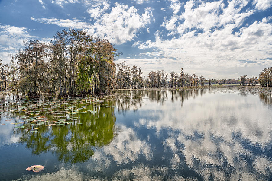 Lake Martin Louisiana #5 Photograph by Victor Culpepper