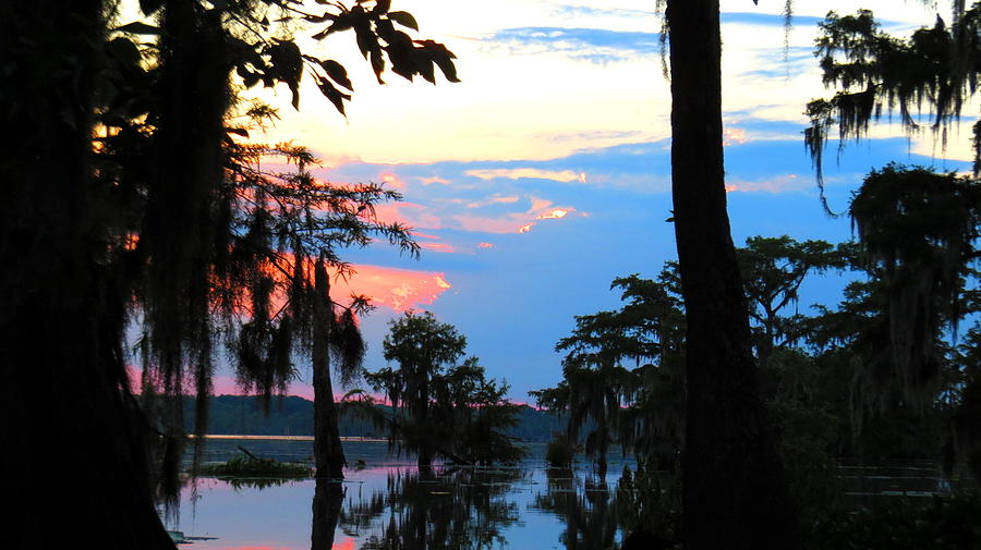 Lake Martin Sunset #1 Photograph by Betty Berard - Fine Art America