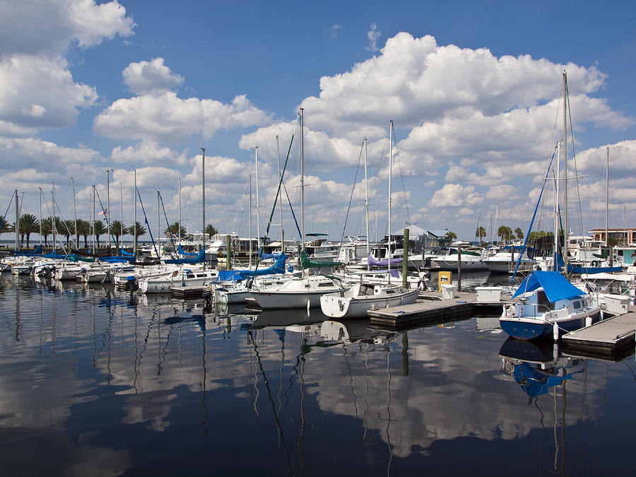 Lake Monroe at the Port of Sanford Florida 1 Photograph by Allan