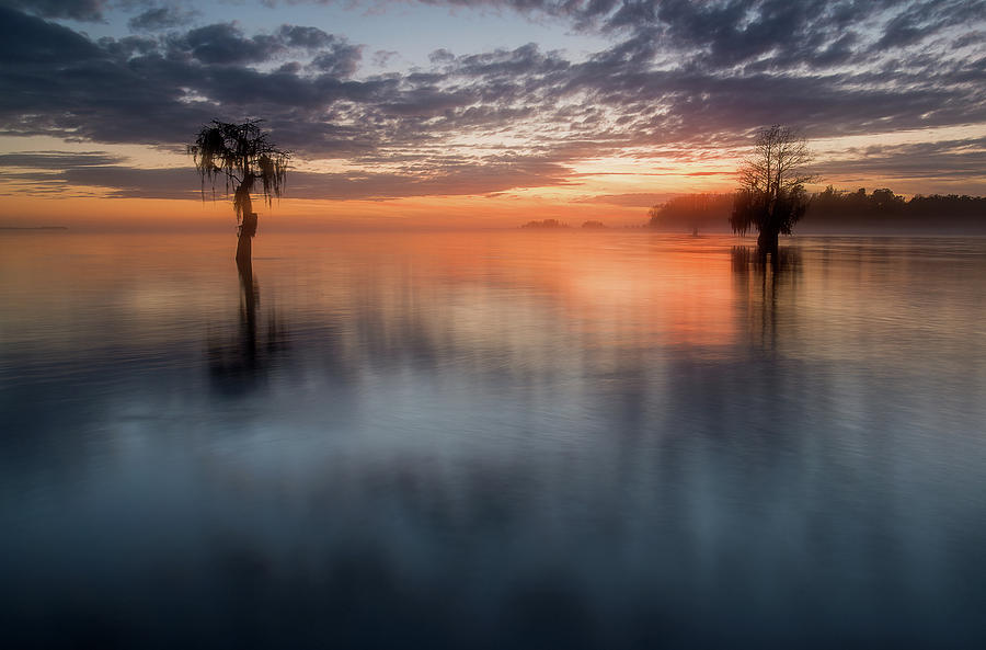 Lake Moultrie #2 Photograph by Derek Thornton