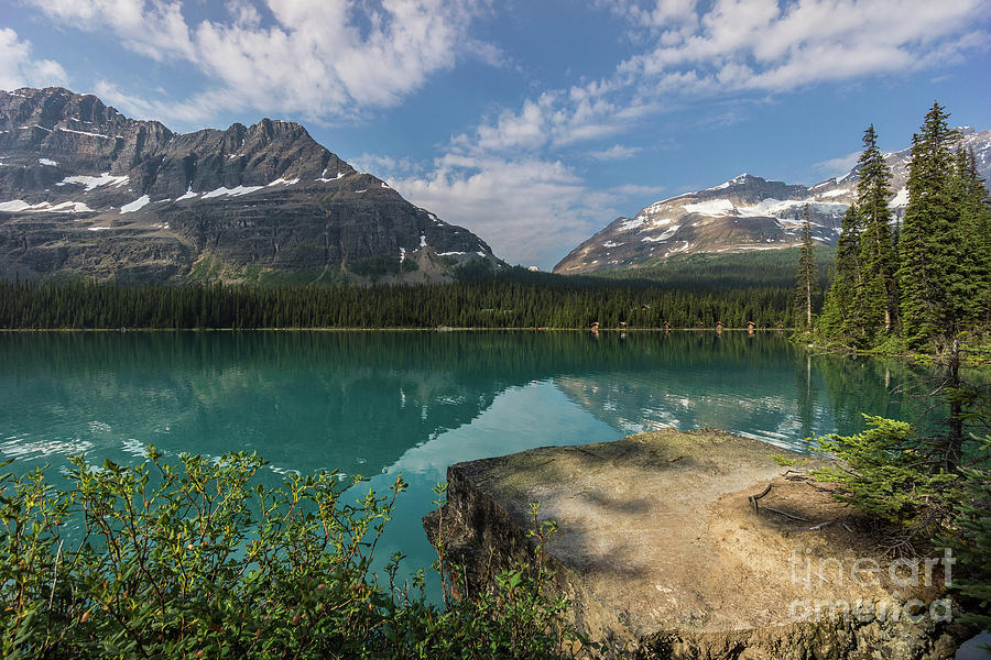 Mountain Photograph - Lake OHara #1 by Carrie Cole