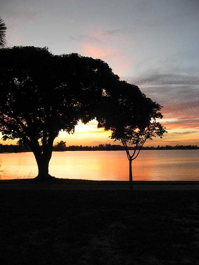 Lake Osborne Sunset #1 Photograph by John Vincent Palozzi