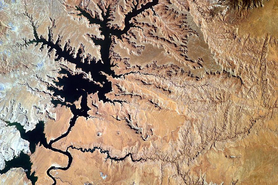 Lake Powell From the Space Stations EarthKAM #1 Painting by Celestial Images