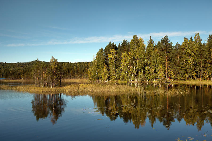Lake Savi #1 Photograph by Aivar Mikko