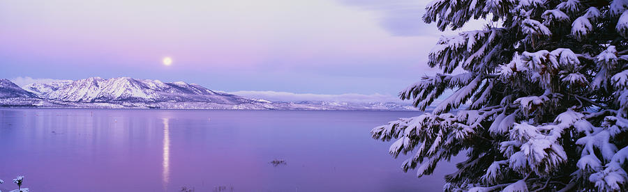 Nature Photograph - Lake Tahoe Ca #1 by Panoramic Images