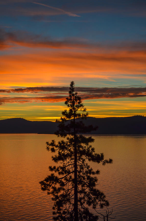 Lake Tahoe Sunset #1 Photograph by Asif Islam
