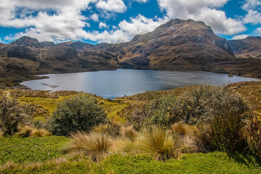 Lake Toreadora in Cajas National Park, Ecuador Photograph by Robert McKinstry