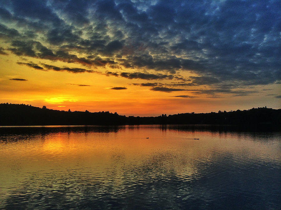 Lakeside Sunset Photograph by Michael Krugman - Fine Art America