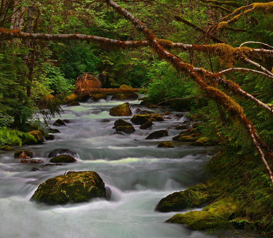 Land Before Time Photograph by Tim F Hale - Fine Art America