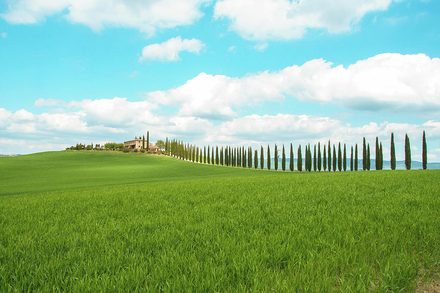 Nature Photograph - Landscape of tuscan countryside in spring #1 by Laura Di Biase