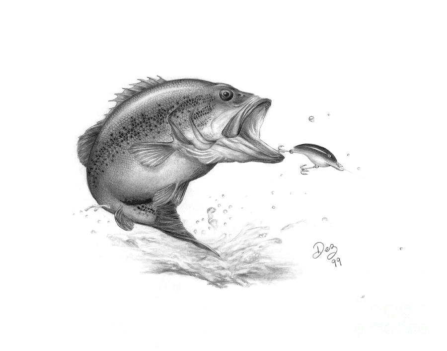 largemouth bass drawing black and white