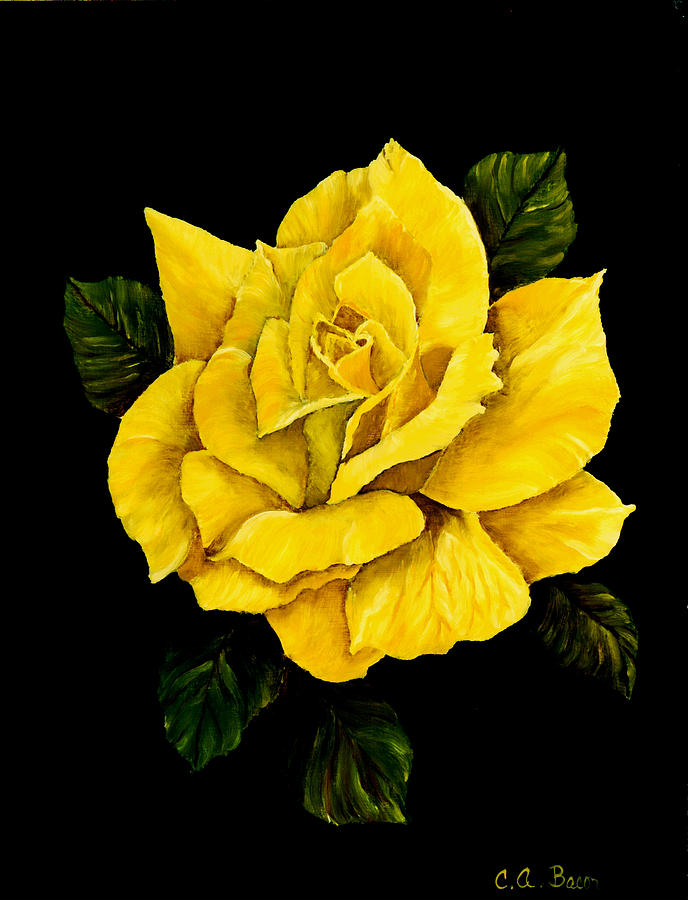 Large Yellow Rose Painting by Charlotte Bacon