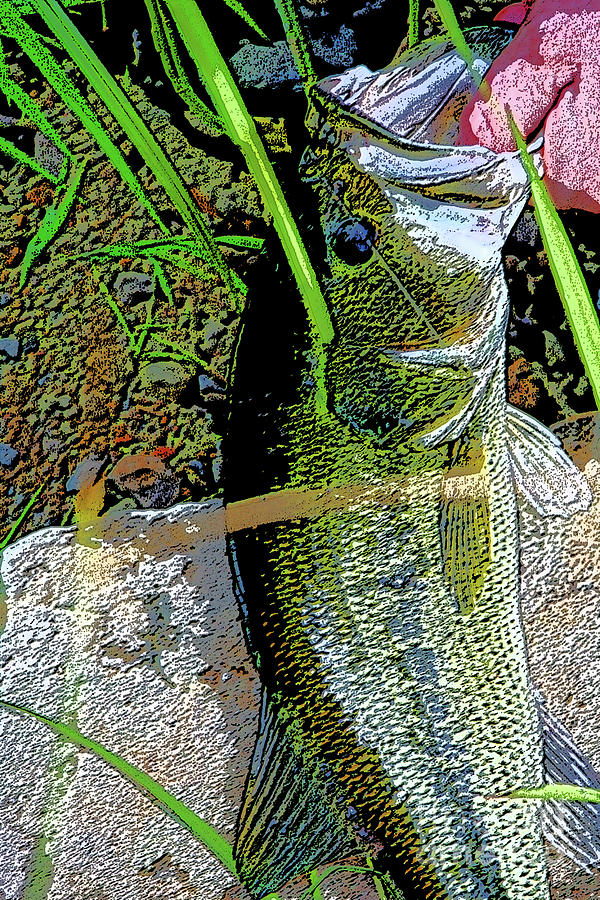 Largemouth Bass 23 Digital Art By Chris Taggart Fine Art America 6645