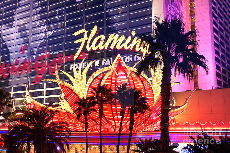 Las Vegas Photograph - Las Vegas Flamingo at Night by John Rizzuto