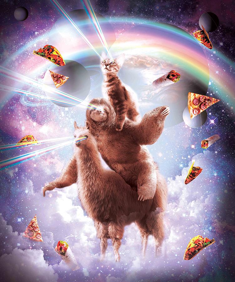 Laser Eyes Space Cat Riding Sloth Llama Rainbow Digital Art By