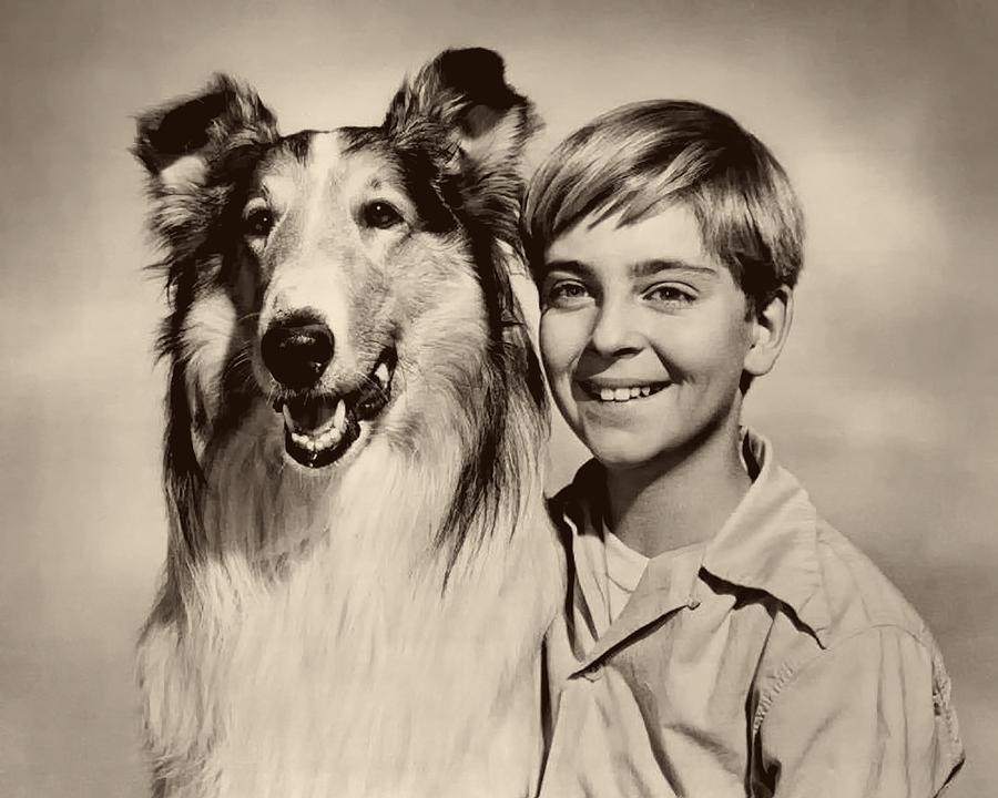 Vintage Photograph - Lassie and Tommy Rettig 1958 #1 by Mountain Dreams