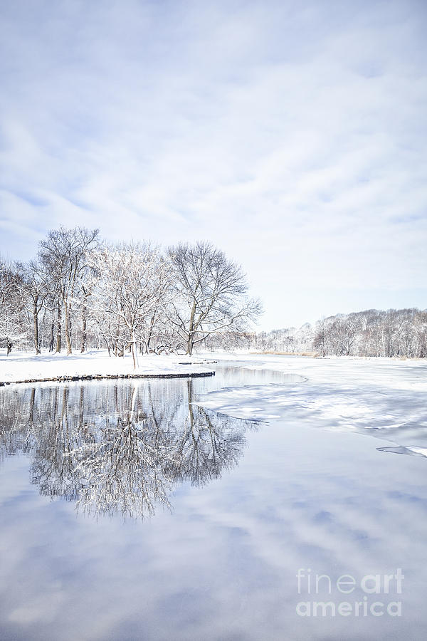 Winter Photograph - Last Winters Dream #1 by Evelina Kremsdorf