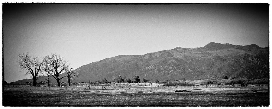 Late Afternoon in Taos #1 Photograph by David Patterson