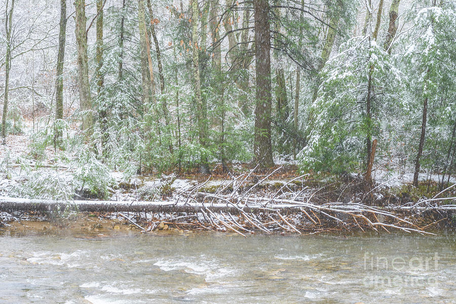 Late Autumn Snow Williams River  #1 Photograph by Thomas R Fletcher