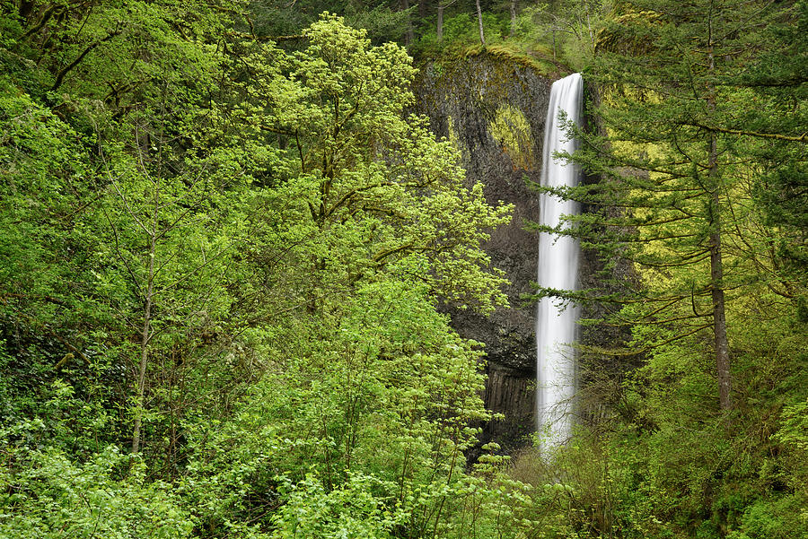 Latourell Falls Photograph by Greg Vaughn - Fine Art America