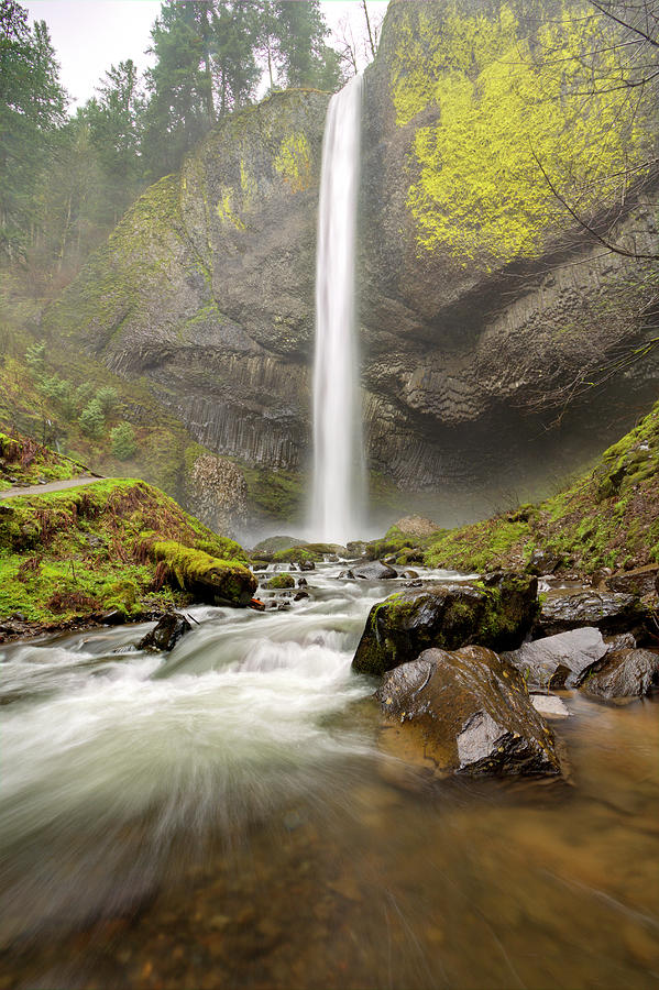 Latourell Falls Waterfall Columbia River Gorge Oregon #1 Photograph by Dustin K Ryan