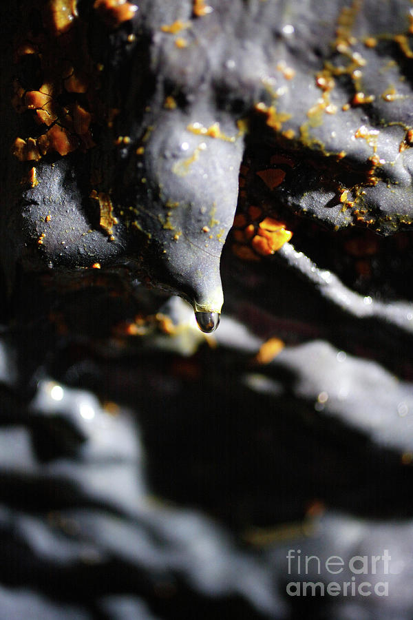 Nature Photograph - Lava tube cave #1 by Gaspar Avila