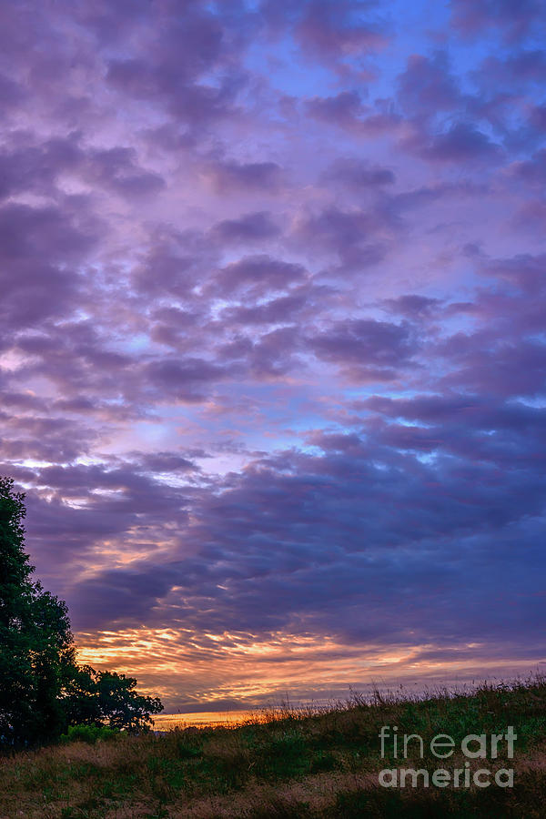 Lavender Dawn  #1 Photograph by Thomas R Fletcher