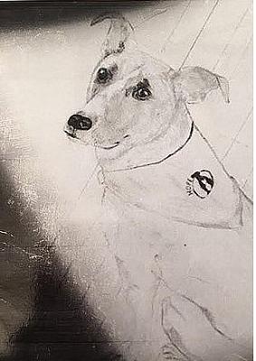 Layla Drawing by Norma Gatlin - Fine Art America