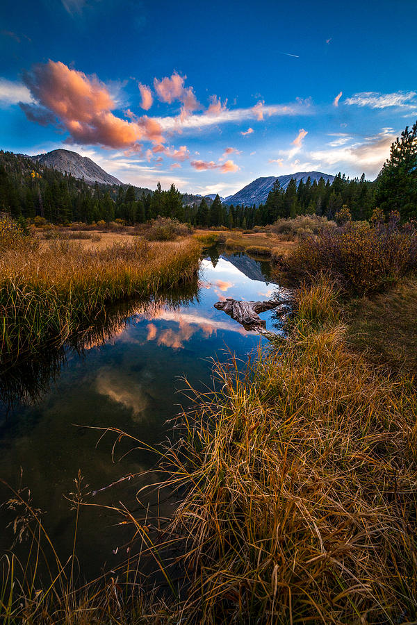 Lazy River Photograph by Cole Pattschull - Fine Art America