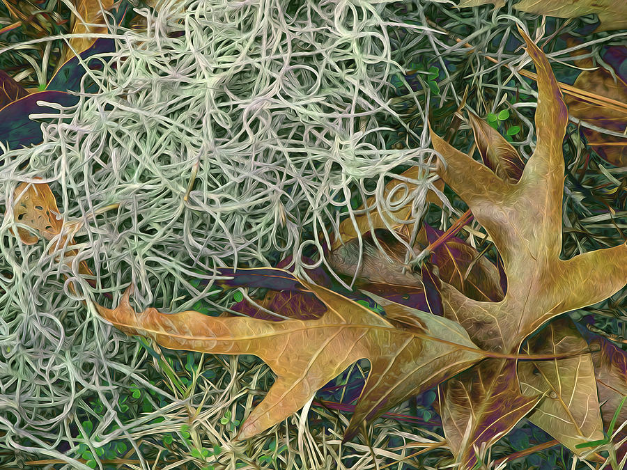 Leaves and Tendrils #2 Digital Art by Lynda Lehmann