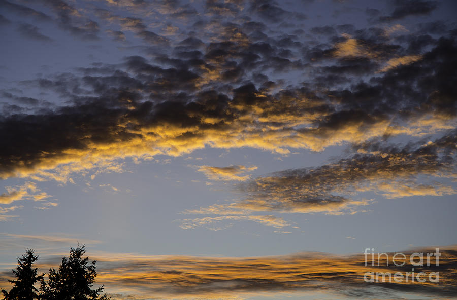 Lebanon Oregon Sunset #1 Photograph by Nick Boren