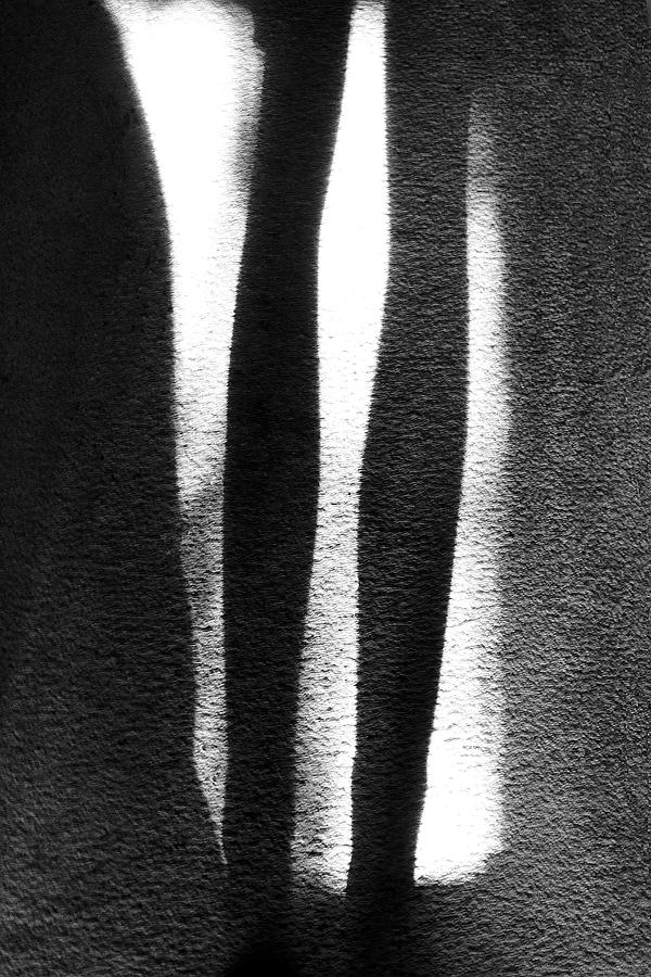 Legs #1 Photograph by Viktor Savchenko