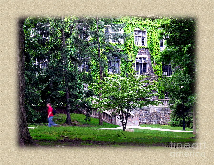 Lehigh University Campus #1 Photograph by Jacqueline M Lewis