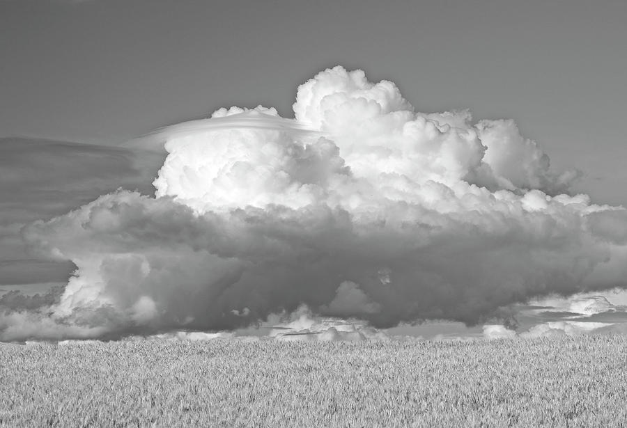 Lenticular Thunderhead #1 Photograph by Doug Davidson