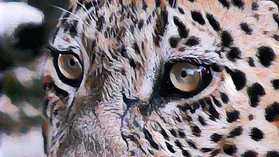 Leopard eyes #1 Photograph by Gini Moore