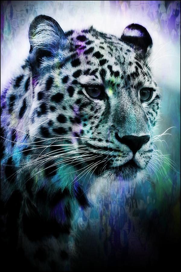 Leopard #2 Photograph by Jean Francois Gil