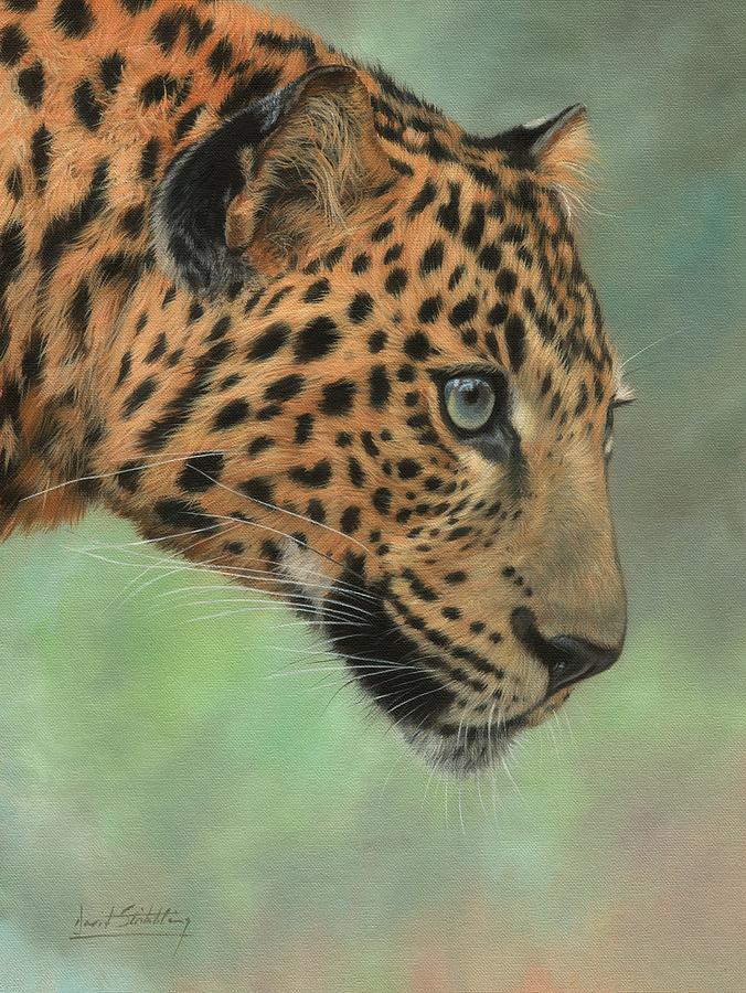 Animal Painting - Leopard Profile #1 by David Stribbling
