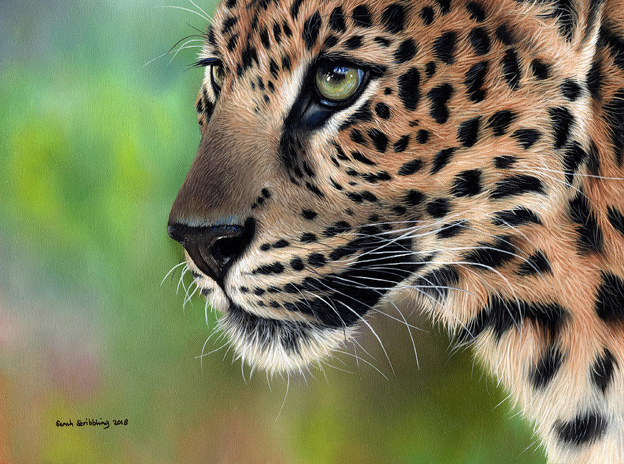 Leopard Painting By Sarah Stribbling Fine Art America
