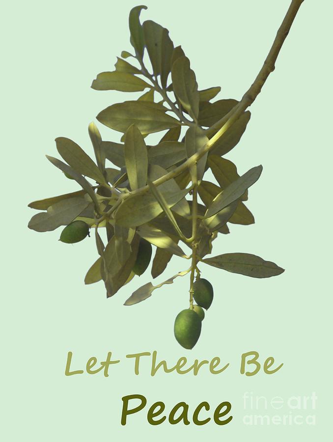Let there be peace olive branch and text #1 Photograph by Ilan Rosen
