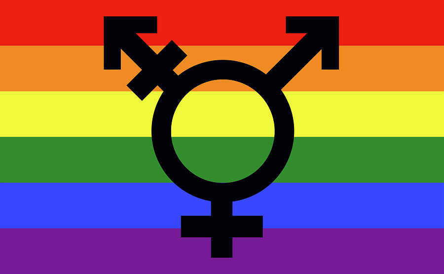 transgender symbol flag