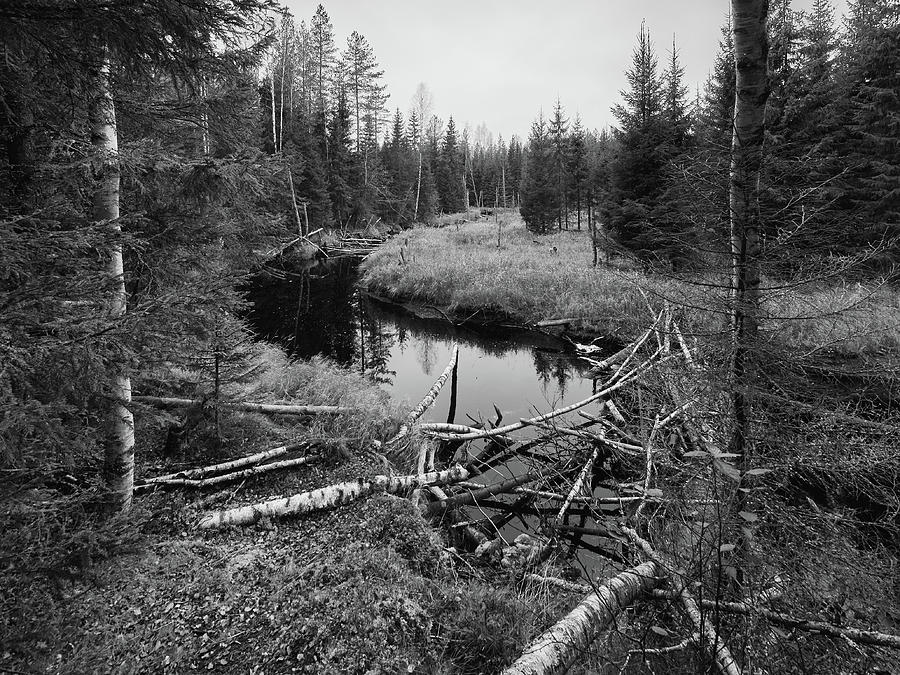 Liesijoki.  Seitseminen National Park #6 Photograph by Jouko Lehto