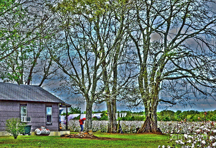 Life on a Georgia Cotton Farm Photograph by DB Hayes