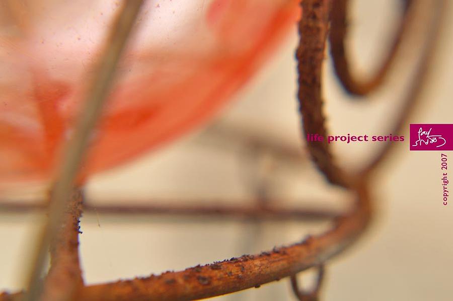 Details Photograph - Life Project Series by Paul Corpus Details Photograph - Life Project Series by Paul Corpus